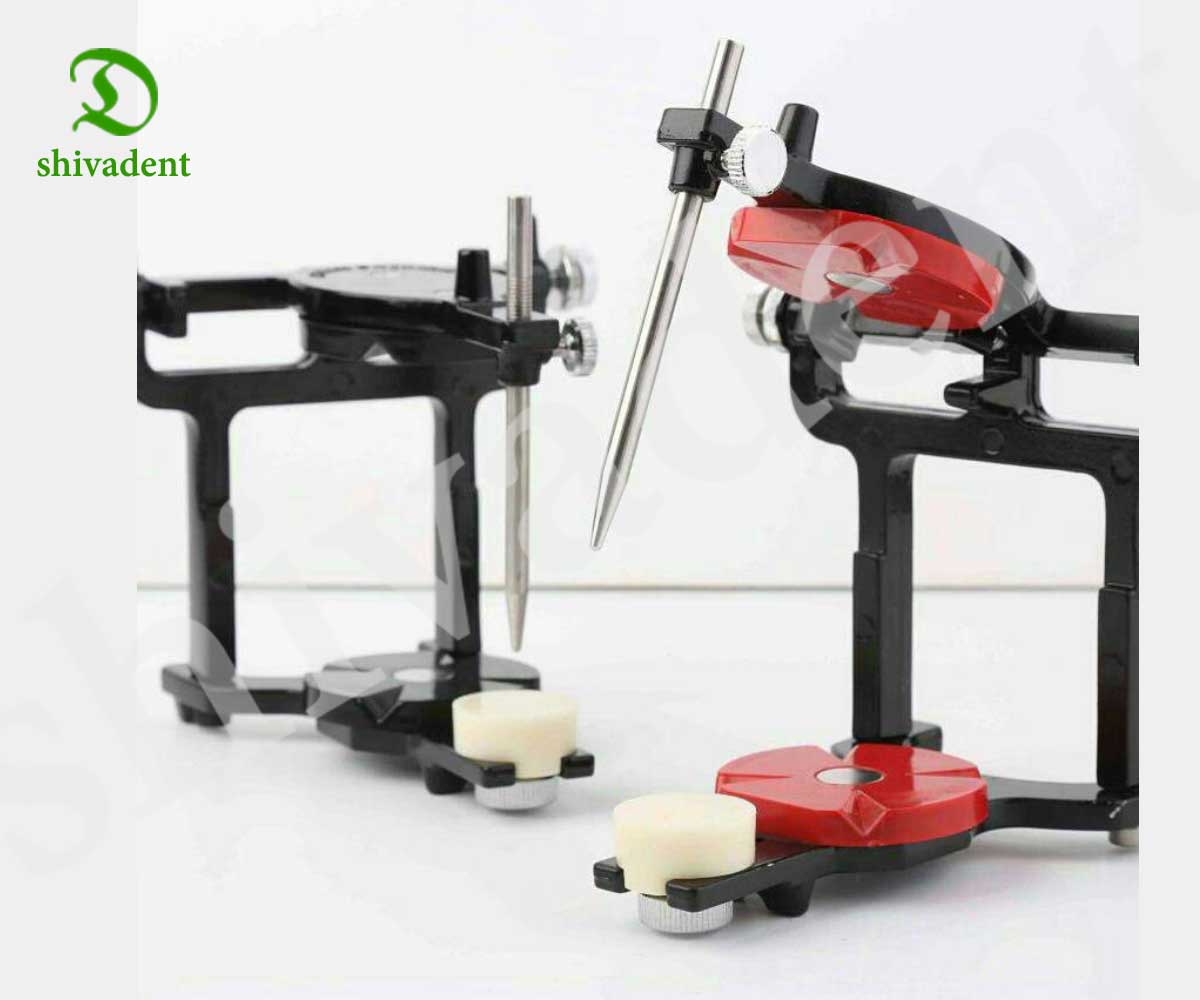 آرتیکولاتور فریپلن